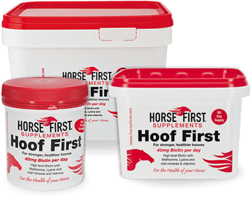 Horse First Hoof First, 750 G (900x1200), Png Download