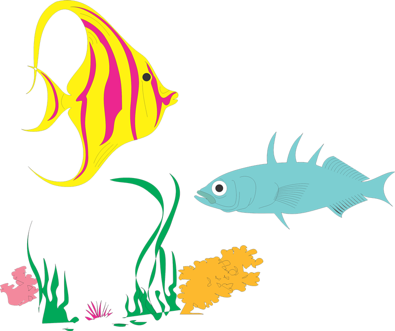 Imágenes De Peces Variados De Colores - Institute (800x671), Png Download