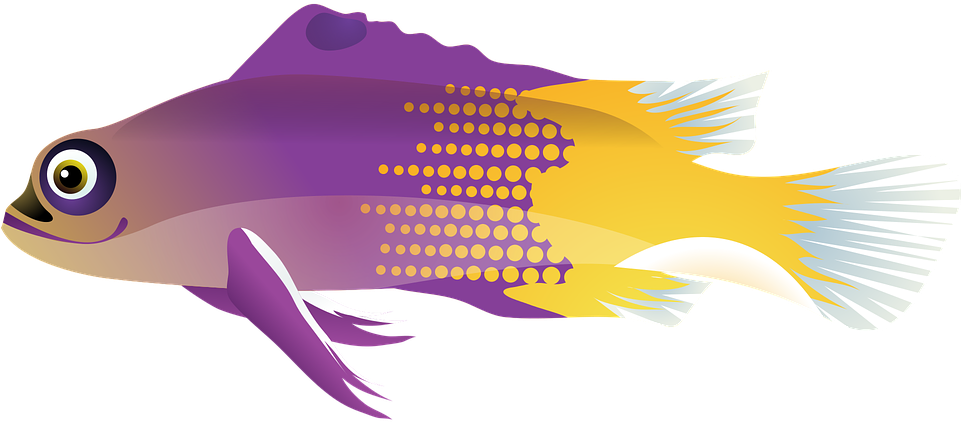 Thumb Image - Peces De Mar Png (960x480), Png Download