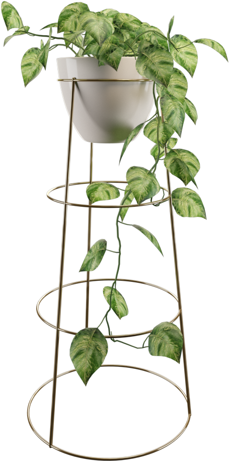 Philodendron - Houseplant (1000x1000), Png Download