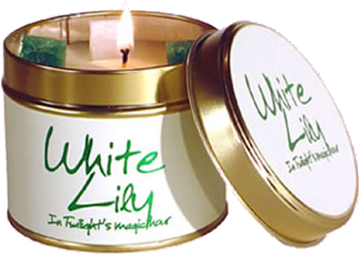 White Lily Scented Candle Tin - Lily-flame Lily Flame Scented Candle (410x426), Png Download