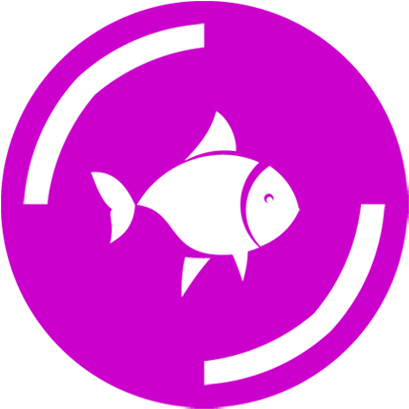 Peces - Cat (640x640), Png Download