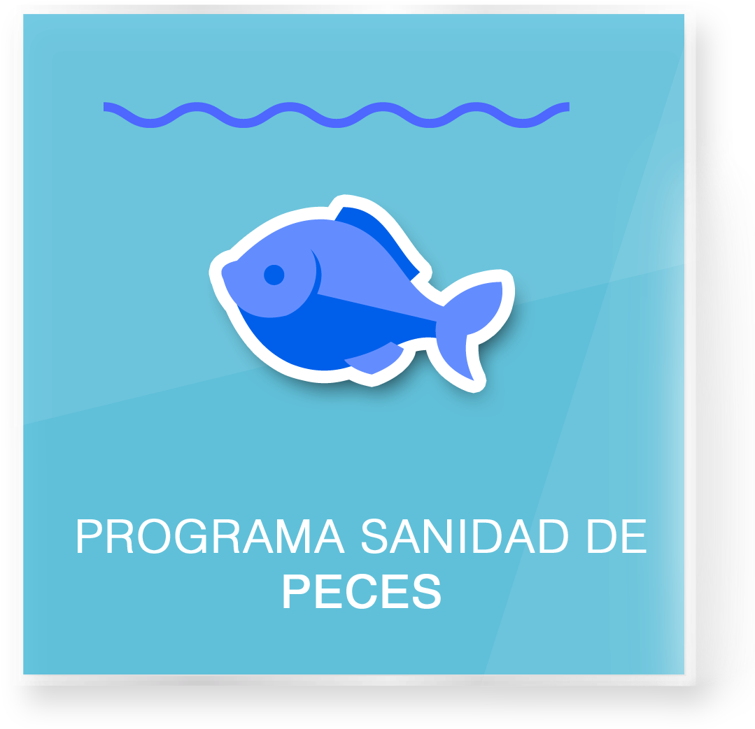 Boton Peces - Fish (1123x1076), Png Download