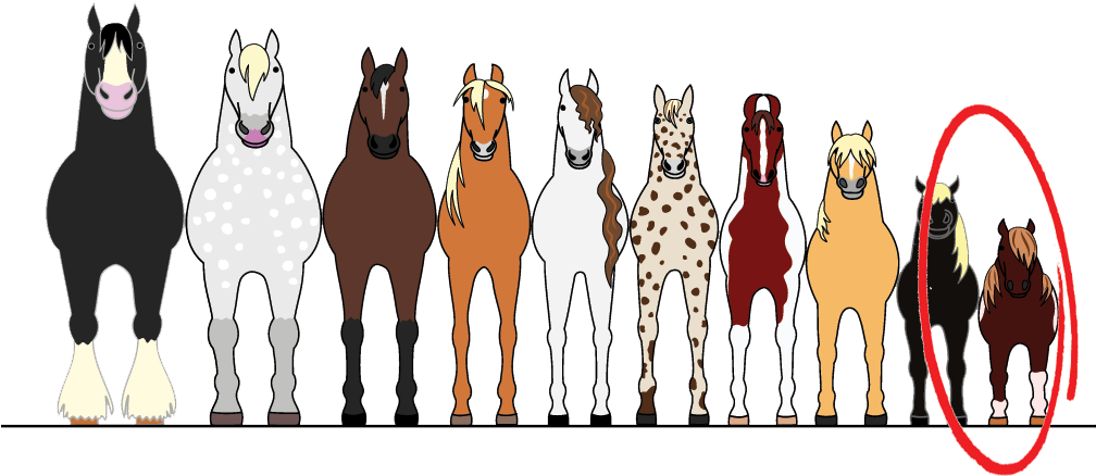 Plastic Horseshoes Size Us - Plastic Horseshoes Size Us 00 - Eu 115 Hoof-it Natural (1007x528), Png Download