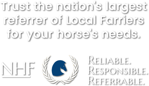 Best Horse Hoof Care In Connecticut Nhf - Farrier (662x400), Png Download