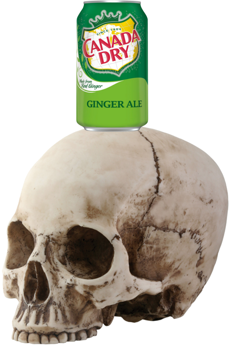This Is What A Panic Attack Feels Like - Canada Dry Ginger Ale, 12 Fl Oz Can (900x1350), Png Download