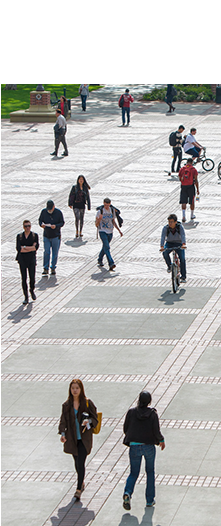 Travel Schedule - Pedestrian (220x550), Png Download