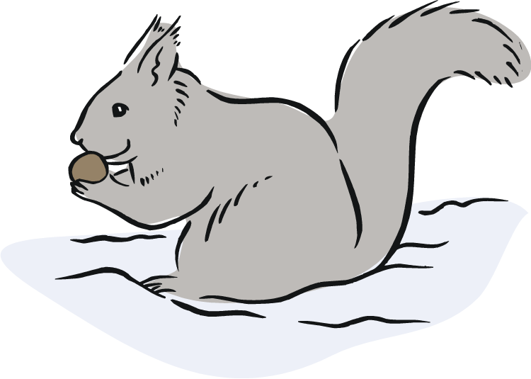 Squirrel Black And White Free Squirrel Clipart - Eastern Gray Squirrel Cartoon (750x535), Png Download