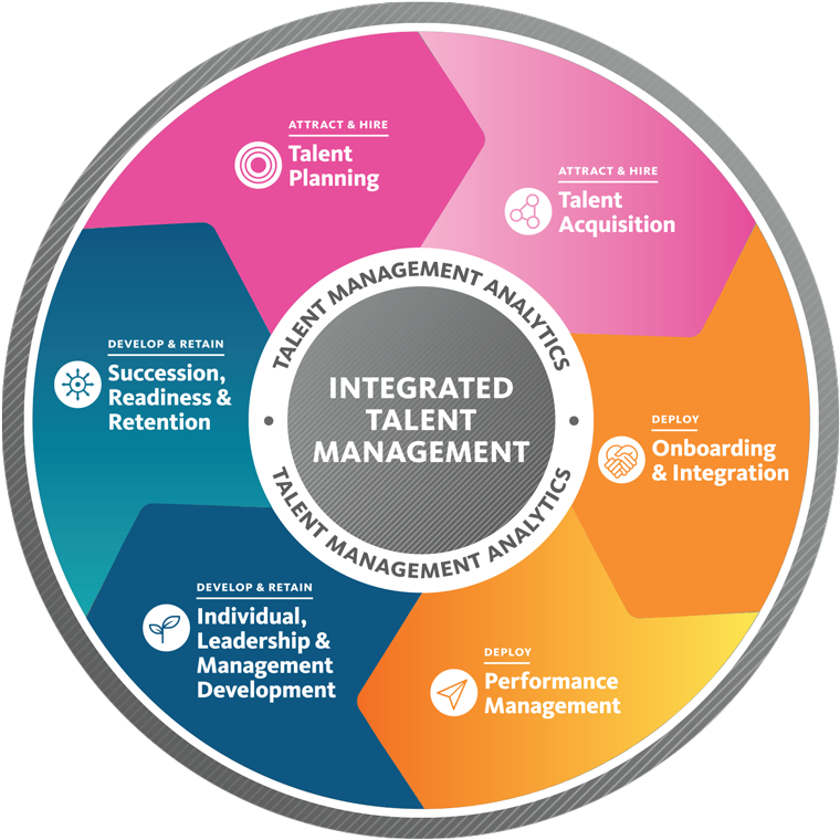Talent Management Continuum - Talent Management Process (782x782), Png Download