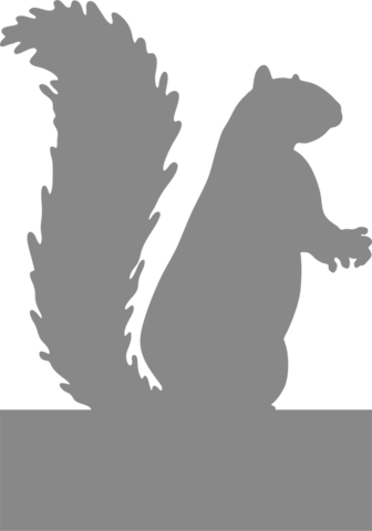 Squirrel Standing - Protect Your Nuts Specify Color Otherwise We Ship White (336x480), Png Download
