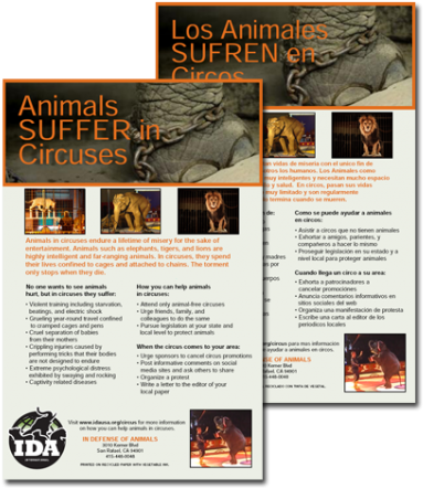 Flyer (400x442), Png Download