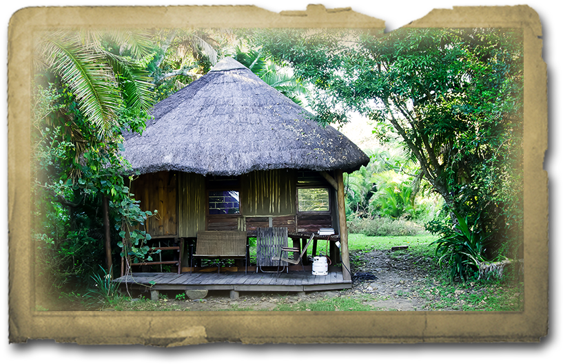 Bushcamp - Yellowwood State Forest (888x620), Png Download