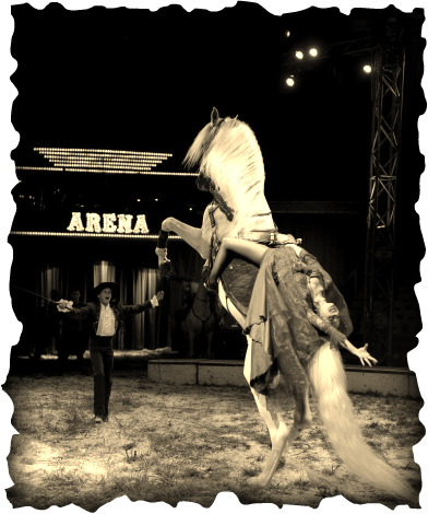 Every Major Circus That Uses Animals Has Been Cited - Circus (392x470), Png Download