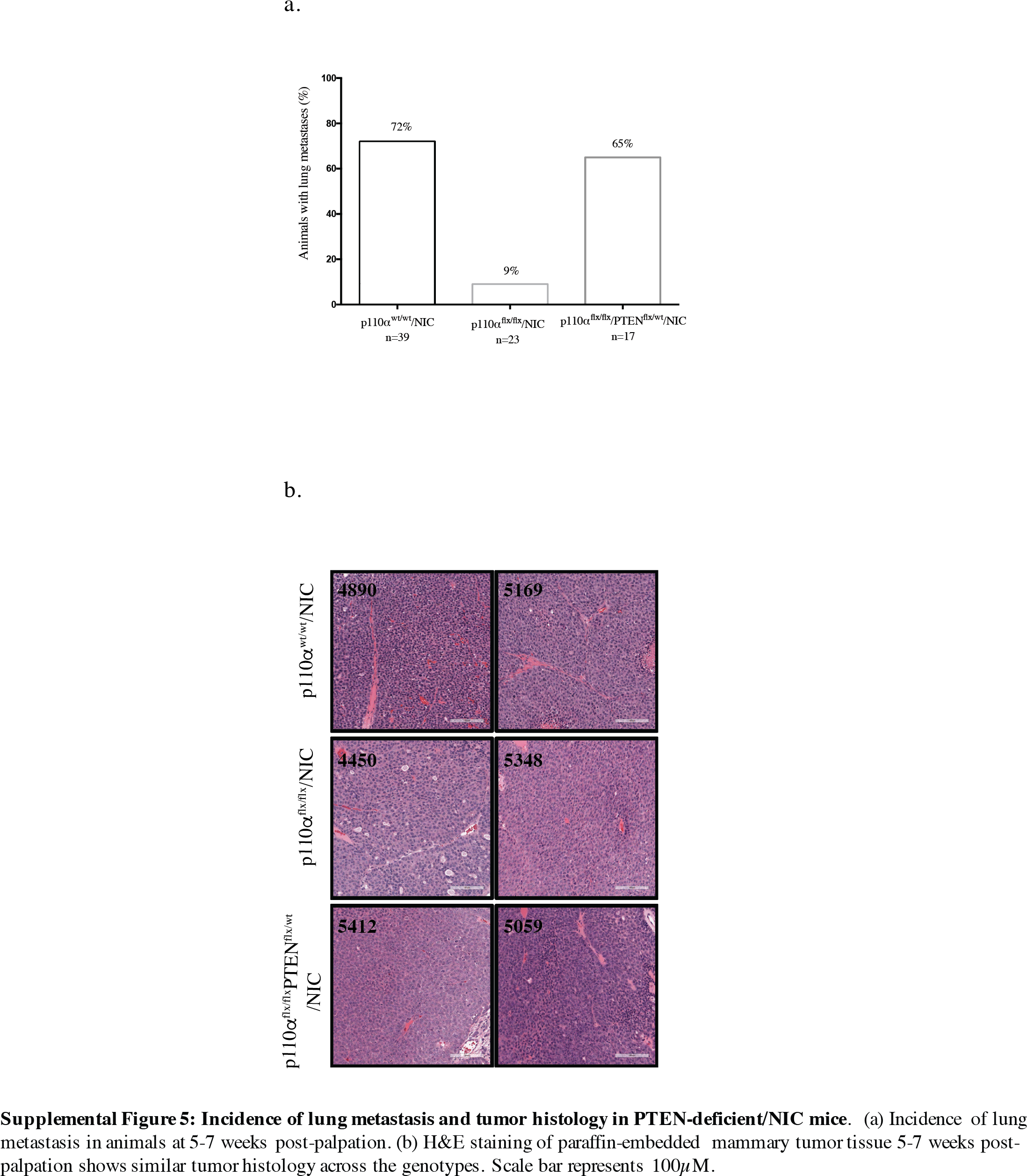 Supplementary Figure - Diagram (2349x3001), Png Download