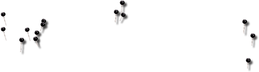 Bird (1023x558), Png Download