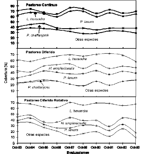 Tendencia Sucesional Por Franjas Acumulativas De La - Diagram (498x560), Png Download