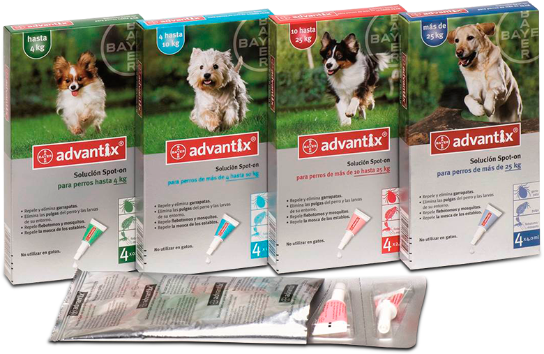 ¿cómo Saber Si Tu Perro Se Está Mareando - Advantix Very Small Dog Until 4 Kg 4 Pipettes (780x507), Png Download