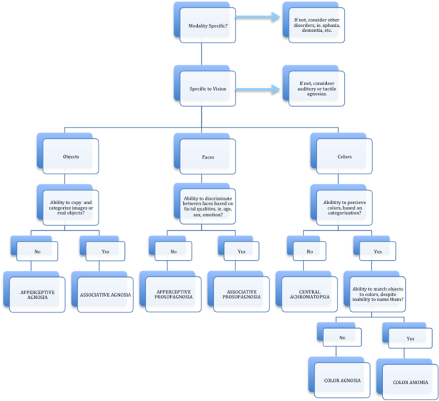 Flowchart For Assessment Of Visual Agnosias - Agnosia (625x600), Png Download