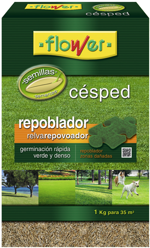 Semillas Césped Repoblador - Flower 10787 Fort Lawn Seed Litoral 1 Kg (600x600), Png Download