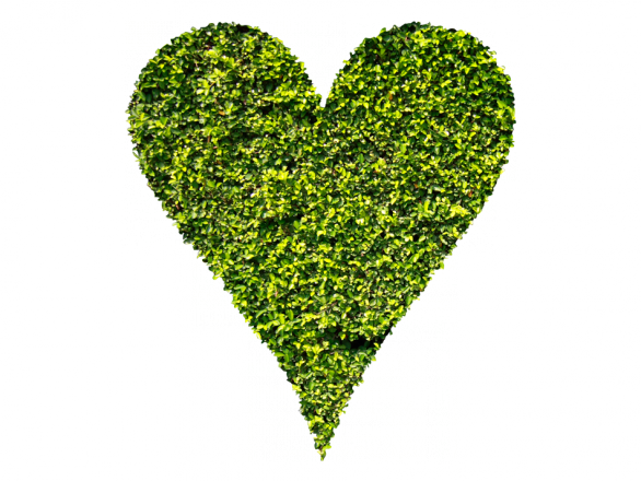 V Corazón - Heart (586x440), Png Download