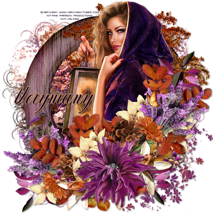 Magic Light - Purely Black - Lavender Essential Oil 100% Pure 100ml (700x700), Png Download