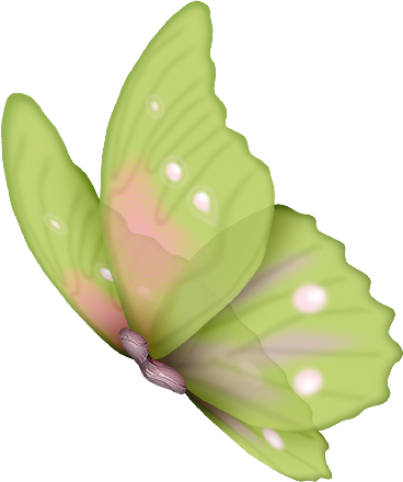 Sapos, Corazones, Mariposas, Marcos, Césped, Nube, - Frames Png De Libelulas (368x440), Png Download