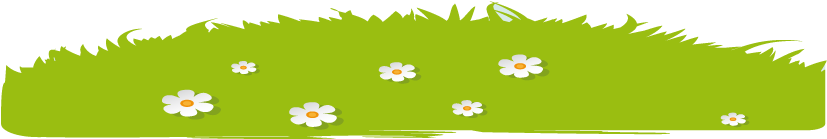 Cesped - Primula (900x207), Png Download