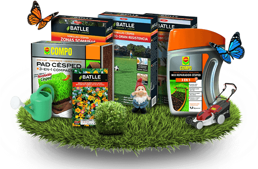 Batlle Great Resistance Compact Grass Seeds (530x360), Png Download