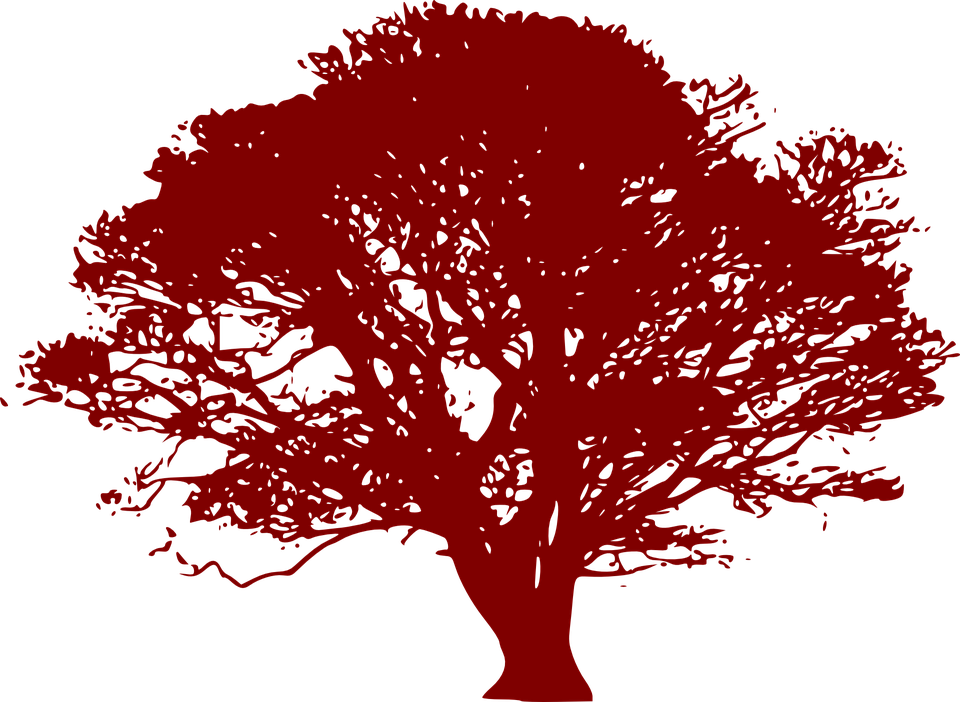 Arbol Rojo Png - Tree Silhouette Green (960x702), Png Download