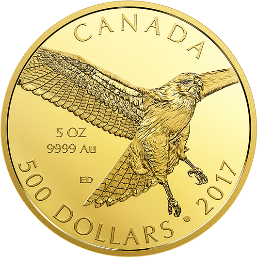 Pure Gold Coin - Ounce (570x570), Png Download