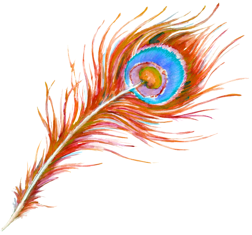 Beautiful Hand Painted Peacock Feathers Hd Png - Peafowl (1024x1024), Png Download