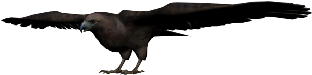 Halcón - Bat Red Dead Redemption (640x480), Png Download