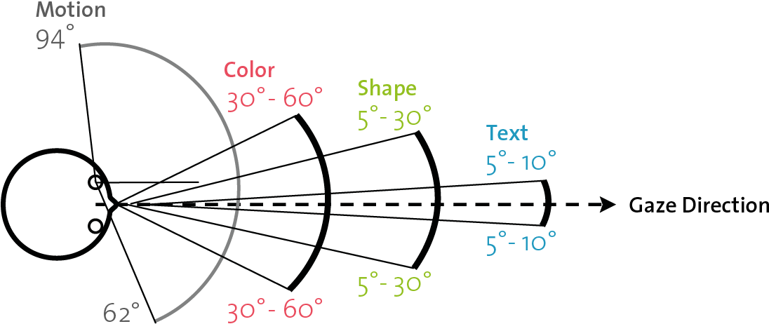 Visual Perception Human Fov - Visual Perception (1130x479), Png Download