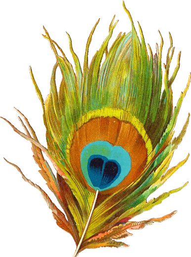 Манекен Ретро Рисунок На Прозрачном Фоне - Feather (386x520), Png Download