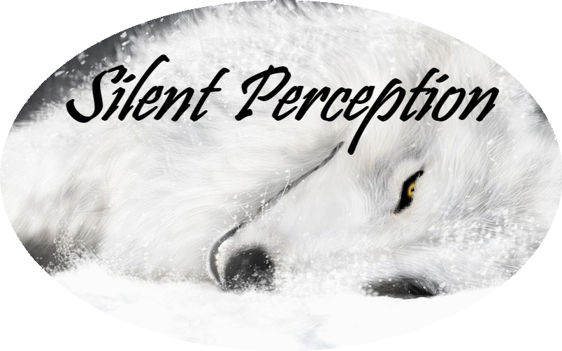 Silent Perception - 4k Wallpaper White Wolf (804x503), Png Download