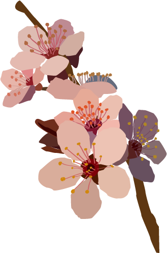 Murialflowers - Flowers Png Tumblr Draw (329x498), Png Download