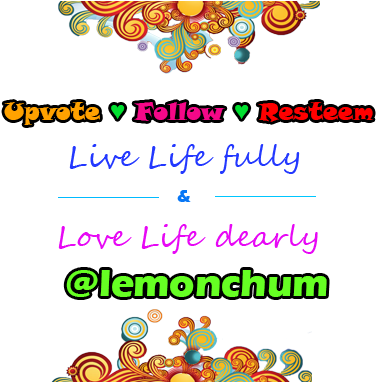 Lemonchumlogo - Walplus Butterfly Vine And Live Laugh Love Wall Decal (400x381), Png Download