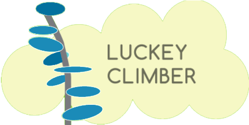 Lukey Climber - Children's Museum Of Alamance County (597x353), Png Download
