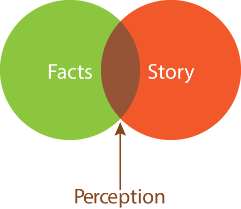 Perceptions And Birth Stories - There Is No Truth There Is Only Perception (475x412), Png Download
