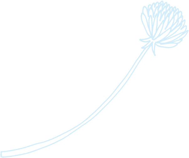 Afterparty Drawn Flower - Drawing (616x572), Png Download