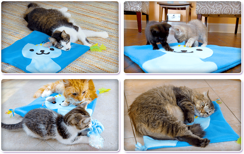 Download See How Much Your Cat Will Love It Cat Full Size PNG Image