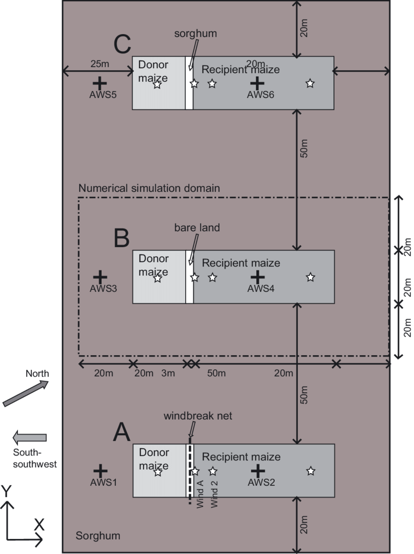 Arrangement Of The Experimental Cornfield - Diagram (850x1137), Png Download