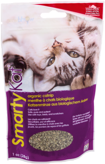 Kitten (600x600), Png Download