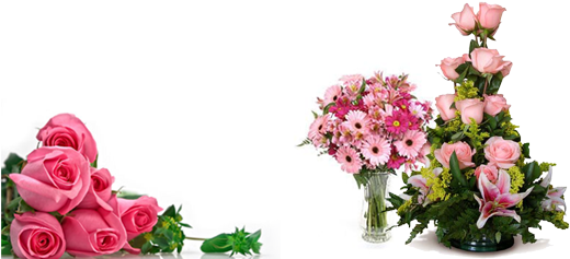 Arreglos Florales (540x247), Png Download