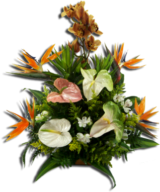 Arreglos Florales, Archivadores, Eventos, Ikebana, - Arreglo Floral Con Anturios Png (350x396), Png Download