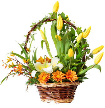 Codigo Tl16 S/ - Bouquet (336x361), Png Download