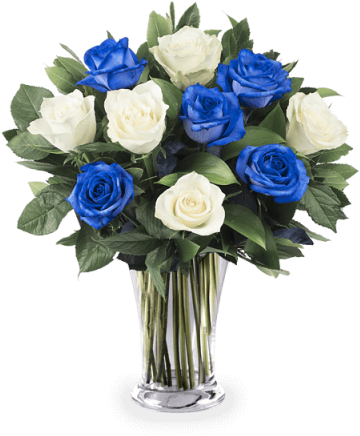 Rosas Blancas Y Azules - Blue Rose (480x480), Png Download