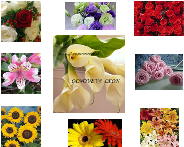 Flores Para Novias, Ramos De Novia, Iglesias, Arreglos - Graines De Tournesol Prado Yellow (426x307), Png Download