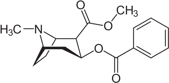 Cocaine, Also Known As Coke, Is A Strong Stimulant - Crack Vs Cocaine Structure (600x296), Png Download