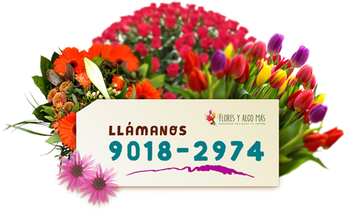 Todo Tipo De Arreglos Florales - Bouquet (500x327), Png Download